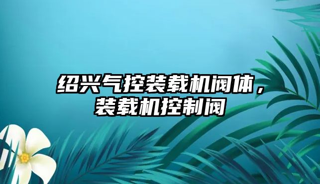 紹興氣控裝載機閥體，裝載機控制閥