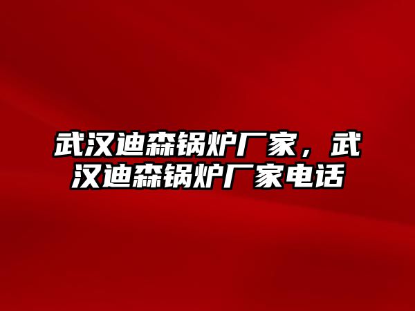 武漢迪森鍋爐廠家，武漢迪森鍋爐廠家電話