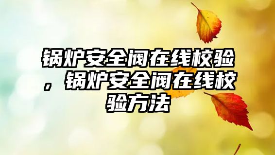 鍋爐安全閥在線校驗(yàn)，鍋爐安全閥在線校驗(yàn)方法