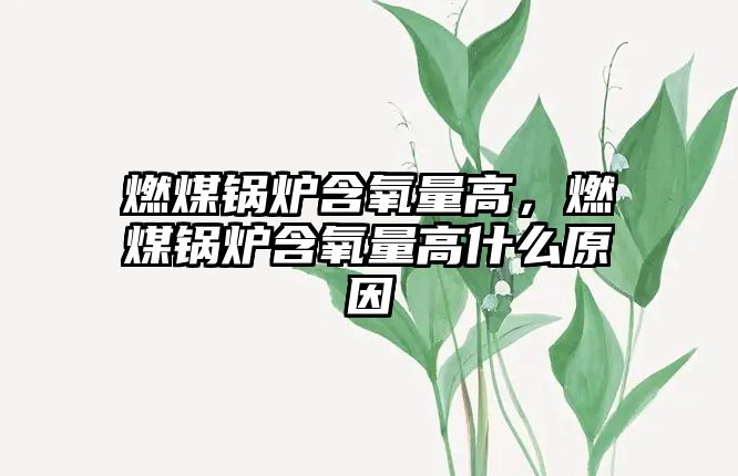 燃煤鍋爐含氧量高，燃煤鍋爐含氧量高什么原因