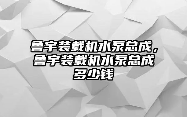 魯宇裝載機(jī)水泵總成，魯宇裝載機(jī)水泵總成多少錢