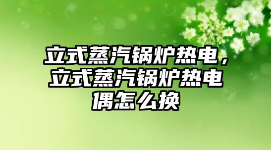 立式蒸汽鍋爐熱電，立式蒸汽鍋爐熱電偶怎么換