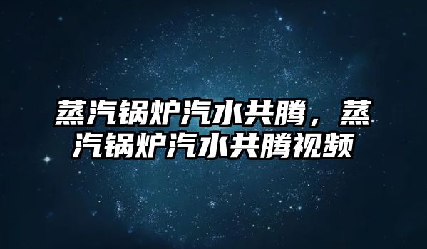 蒸汽鍋爐汽水共騰，蒸汽鍋爐汽水共騰視頻