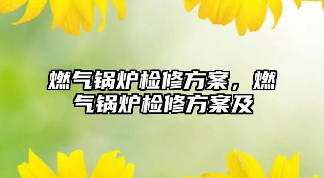 燃氣鍋爐檢修方案，燃氣鍋爐檢修方案及