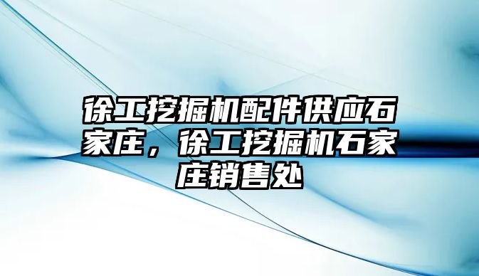 徐工挖掘機配件供應(yīng)石家莊，徐工挖掘機石家莊銷售處