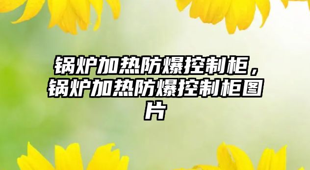 鍋爐加熱防爆控制柜，鍋爐加熱防爆控制柜圖片