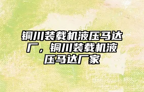 銅川裝載機液壓馬達廠，銅川裝載機液壓馬達廠家