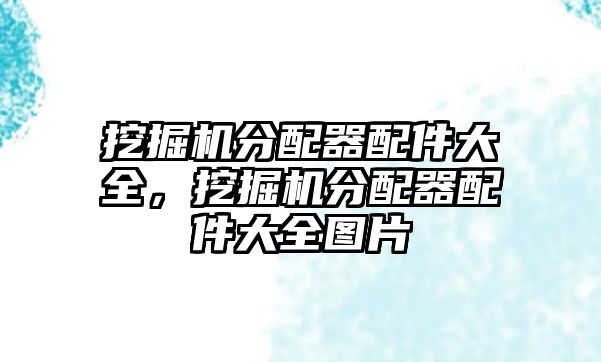 挖掘機(jī)分配器配件大全，挖掘機(jī)分配器配件大全圖片