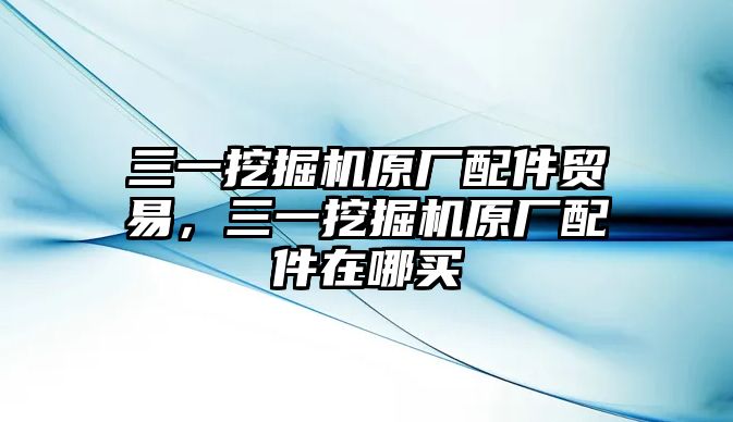 三一挖掘機原廠配件貿(mào)易，三一挖掘機原廠配件在哪買