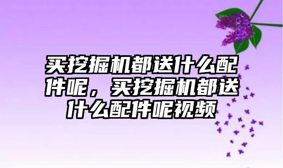 買挖掘機都送什么配件呢，買挖掘機都送什么配件呢視頻