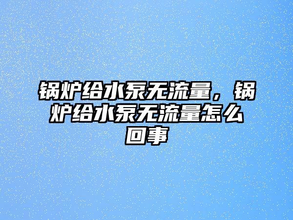 鍋爐給水泵無流量，鍋爐給水泵無流量怎么回事