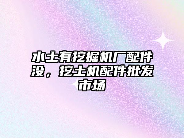 水土有挖掘機廠配件沒，挖土機配件批發(fā)市場