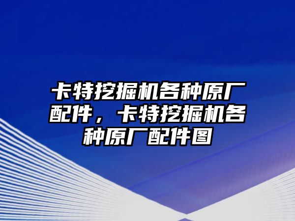 卡特挖掘機各種原廠配件，卡特挖掘機各種原廠配件圖