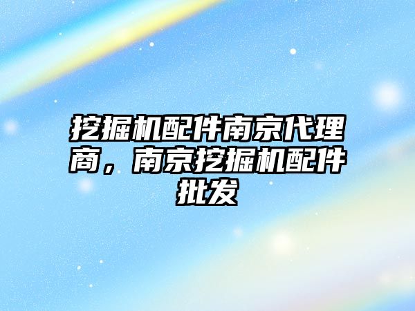 挖掘機配件南京代理商，南京挖掘機配件批發(fā)