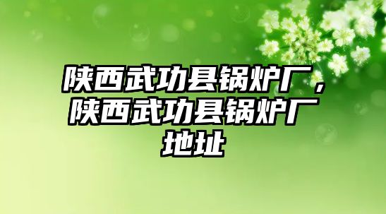 陜西武功縣鍋爐廠，陜西武功縣鍋爐廠地址