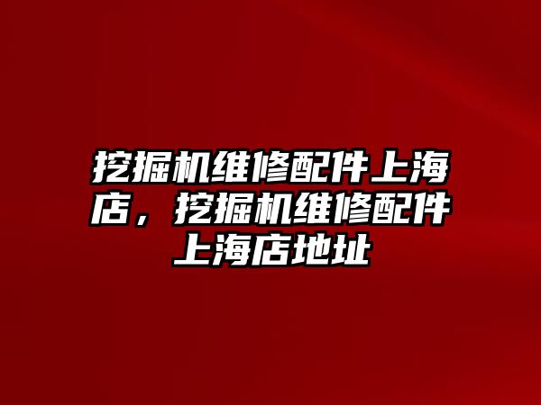 挖掘機(jī)維修配件上海店，挖掘機(jī)維修配件上海店地址