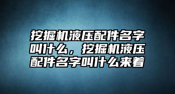 挖掘機液壓配件名字叫什么，挖掘機液壓配件名字叫什么來著