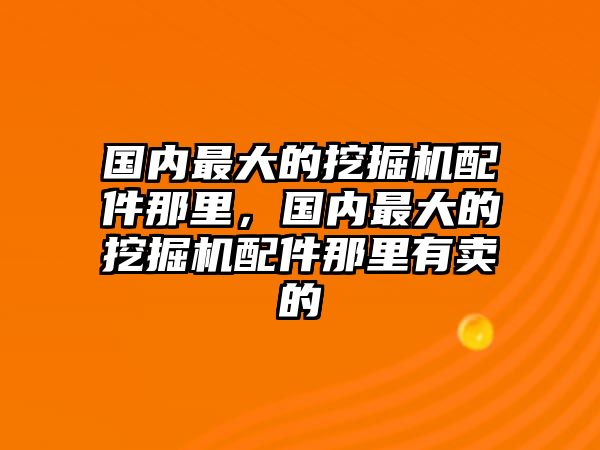 國內(nèi)最大的挖掘機配件那里，國內(nèi)最大的挖掘機配件那里有賣的