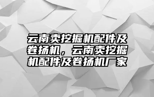 云南賣挖掘機配件及卷揚機，云南賣挖掘機配件及卷揚機廠家