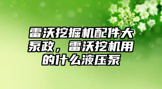 雷沃挖掘機配件大泵政，雷沃挖機用的什么液壓泵