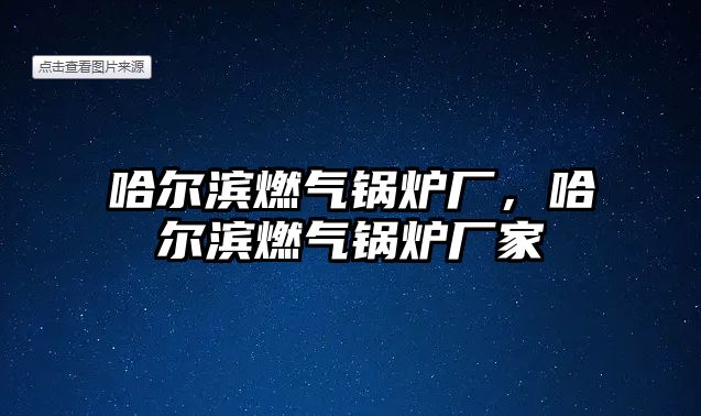 哈爾濱燃氣鍋爐廠，哈爾濱燃氣鍋爐廠家