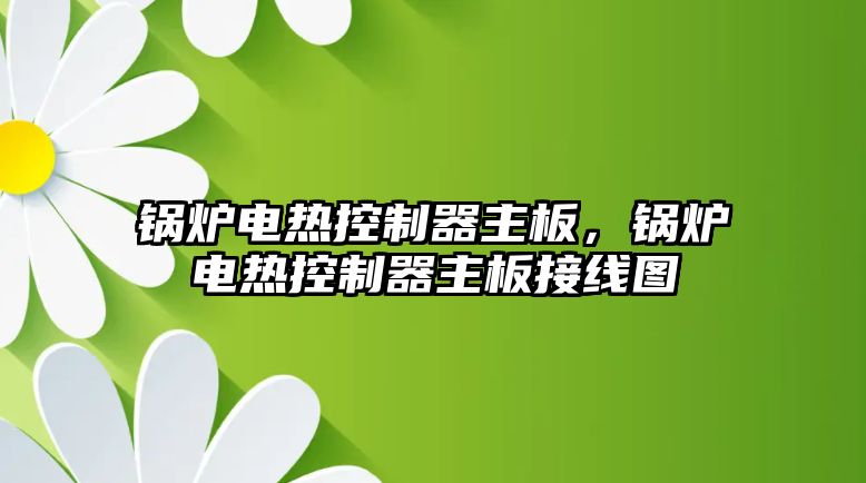 鍋爐電熱控制器主板，鍋爐電熱控制器主板接線圖