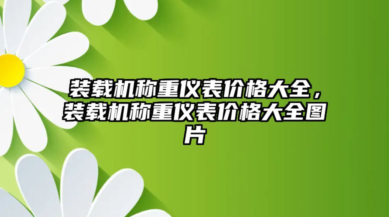 裝載機稱重儀表價格大全，裝載機稱重儀表價格大全圖片