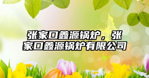 張家口鑫源鍋爐，張家口鑫源鍋爐有限公司