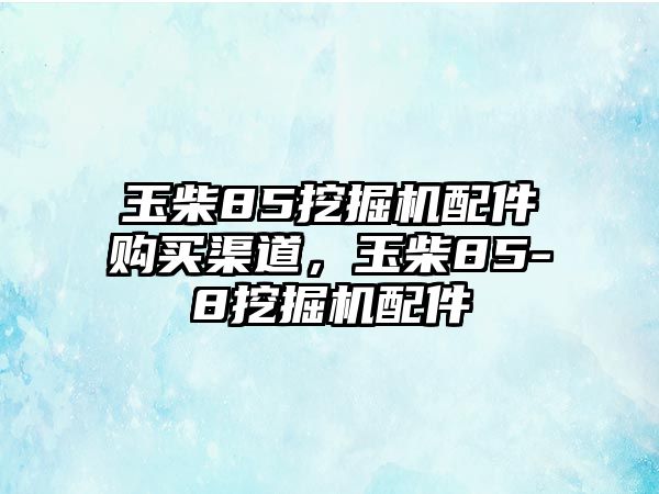 玉柴85挖掘機(jī)配件購(gòu)買渠道，玉柴85-8挖掘機(jī)配件