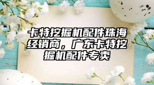 卡特挖掘機配件珠海經銷商，廣東卡特挖掘機配件專賣