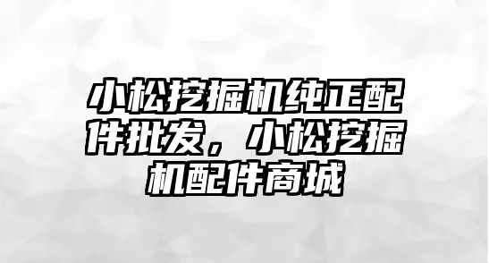 小松挖掘機純正配件批發(fā)，小松挖掘機配件商城