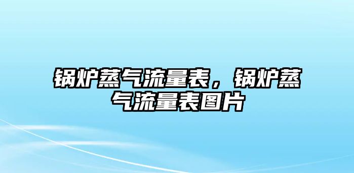 鍋爐蒸氣流量表，鍋爐蒸氣流量表圖片