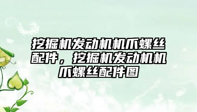 挖掘機發(fā)動機機爪螺絲配件，挖掘機發(fā)動機機爪螺絲配件圖