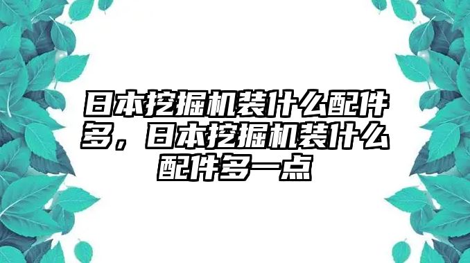 日本挖掘機裝什么配件多，日本挖掘機裝什么配件多一點