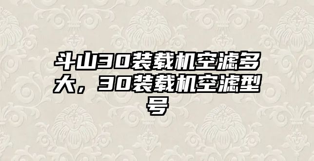 斗山30裝載機空濾多大，30裝載機空濾型號