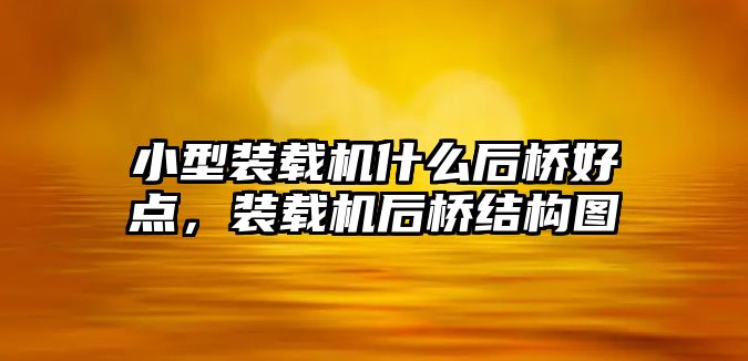 小型裝載機什么后橋好點，裝載機后橋結(jié)構(gòu)圖