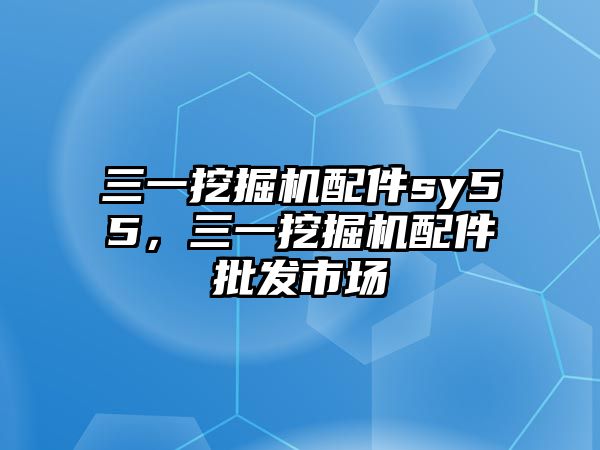 三一挖掘機(jī)配件sy55，三一挖掘機(jī)配件批發(fā)市場(chǎng)