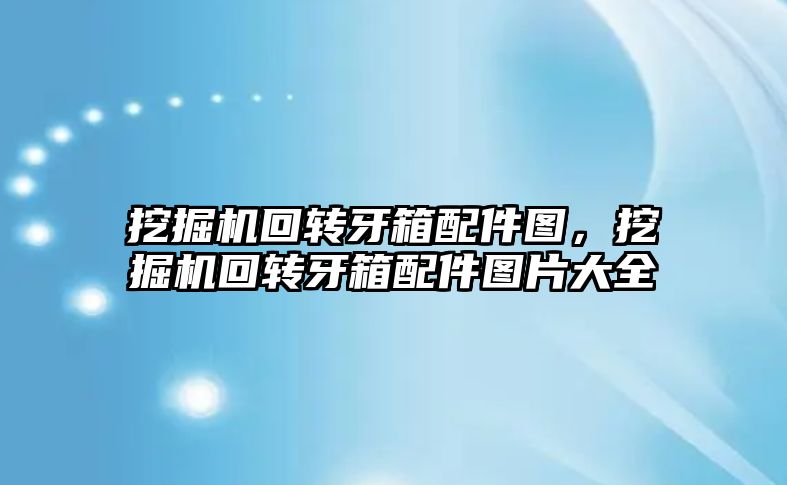 挖掘機回轉牙箱配件圖，挖掘機回轉牙箱配件圖片大全