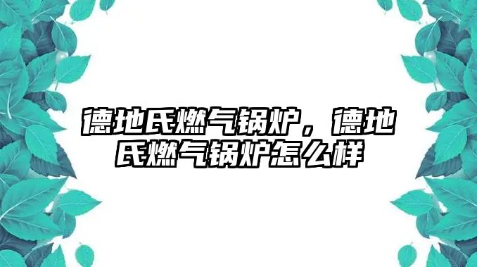 德地氏燃?xì)忮仩t，德地氏燃?xì)忮仩t怎么樣