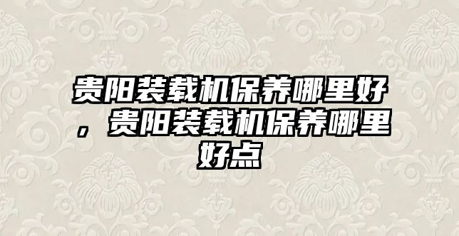 貴陽裝載機保養(yǎng)哪里好，貴陽裝載機保養(yǎng)哪里好點