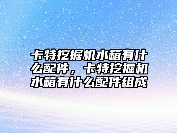 卡特挖掘機水箱有什么配件，卡特挖掘機水箱有什么配件組成