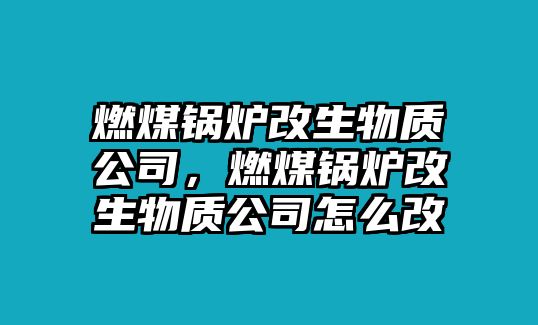 燃煤鍋爐改生物質(zhì)公司，燃煤鍋爐改生物質(zhì)公司怎么改