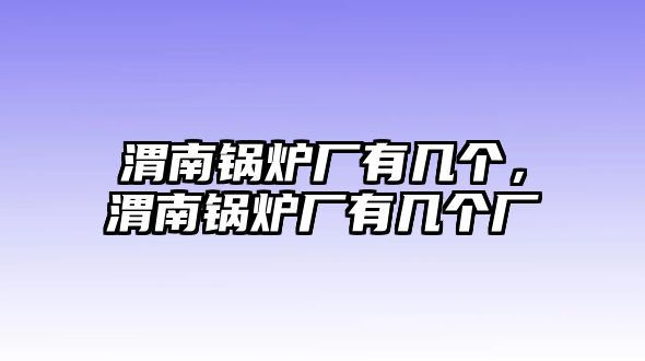 渭南鍋爐廠有幾個(gè)，渭南鍋爐廠有幾個(gè)廠