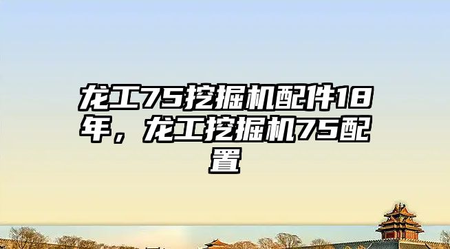 龍工75挖掘機(jī)配件18年，龍工挖掘機(jī)75配置