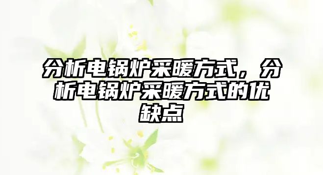 分析電鍋爐采暖方式，分析電鍋爐采暖方式的優(yōu)缺點(diǎn)