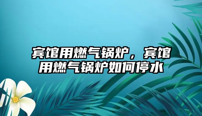 賓館用燃氣鍋爐，賓館用燃氣鍋爐如何停水