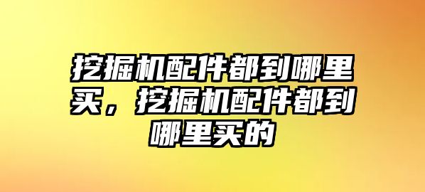 挖掘機(jī)配件都到哪里買(mǎi)，挖掘機(jī)配件都到哪里買(mǎi)的