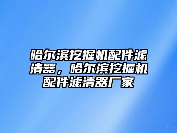 哈爾濱挖掘機配件濾清器，哈爾濱挖掘機配件濾清器廠家