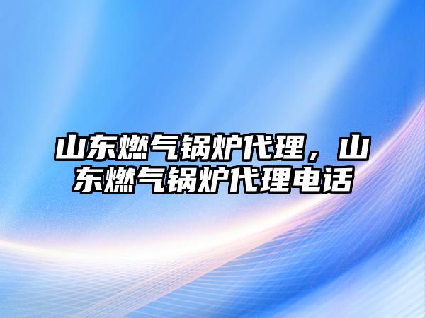 山東燃?xì)忮仩t代理，山東燃?xì)忮仩t代理電話(huà)