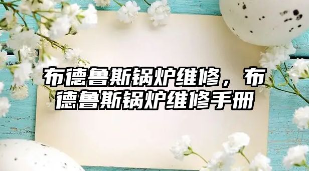 布德魯斯鍋爐維修，布德魯斯鍋爐維修手冊(cè)